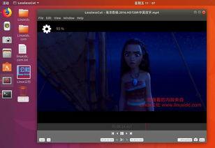 linux视频软件,功能与特色一览